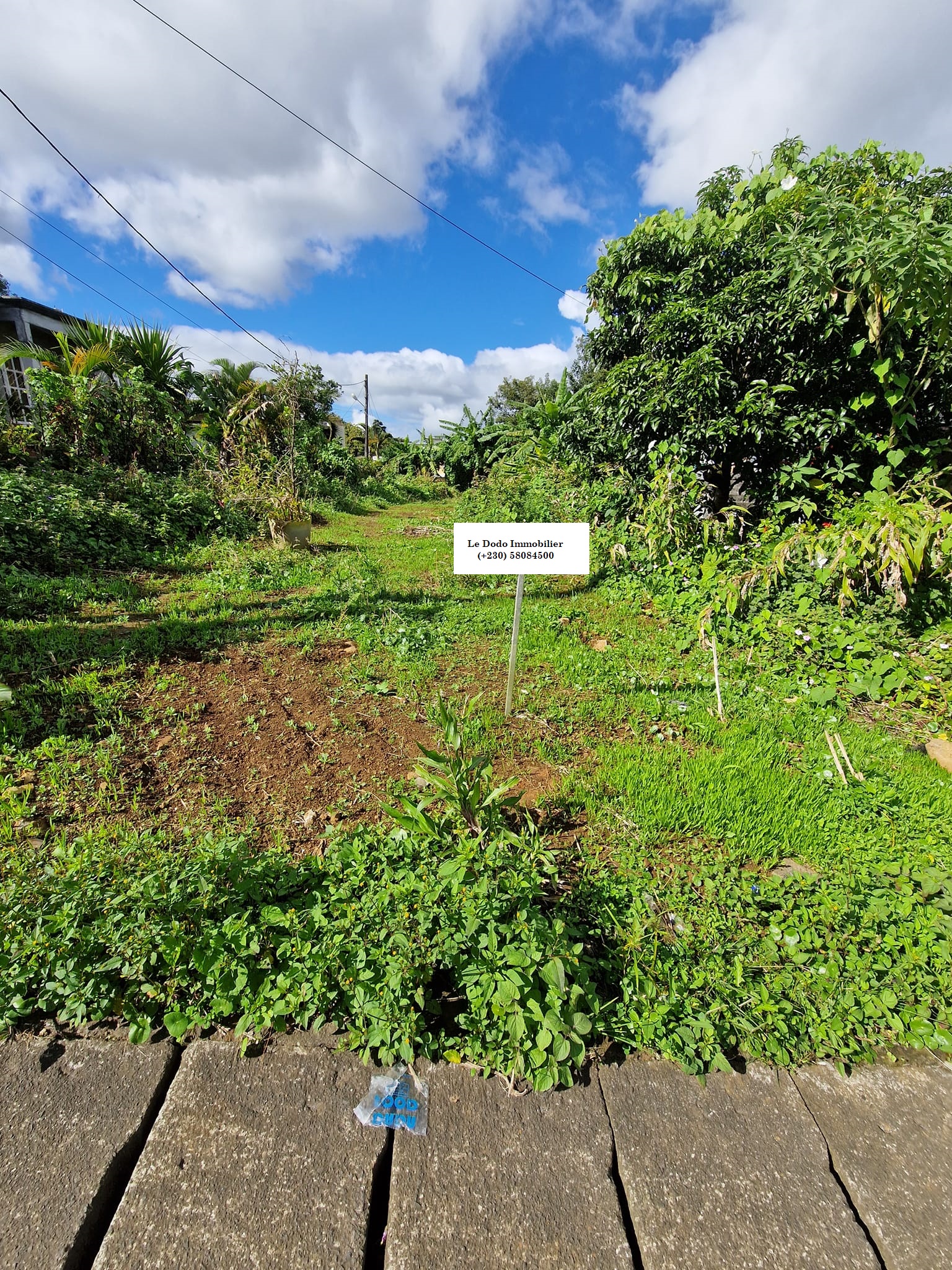 Camp Caval, Curepipe – Residential/Commercial Land – Sale