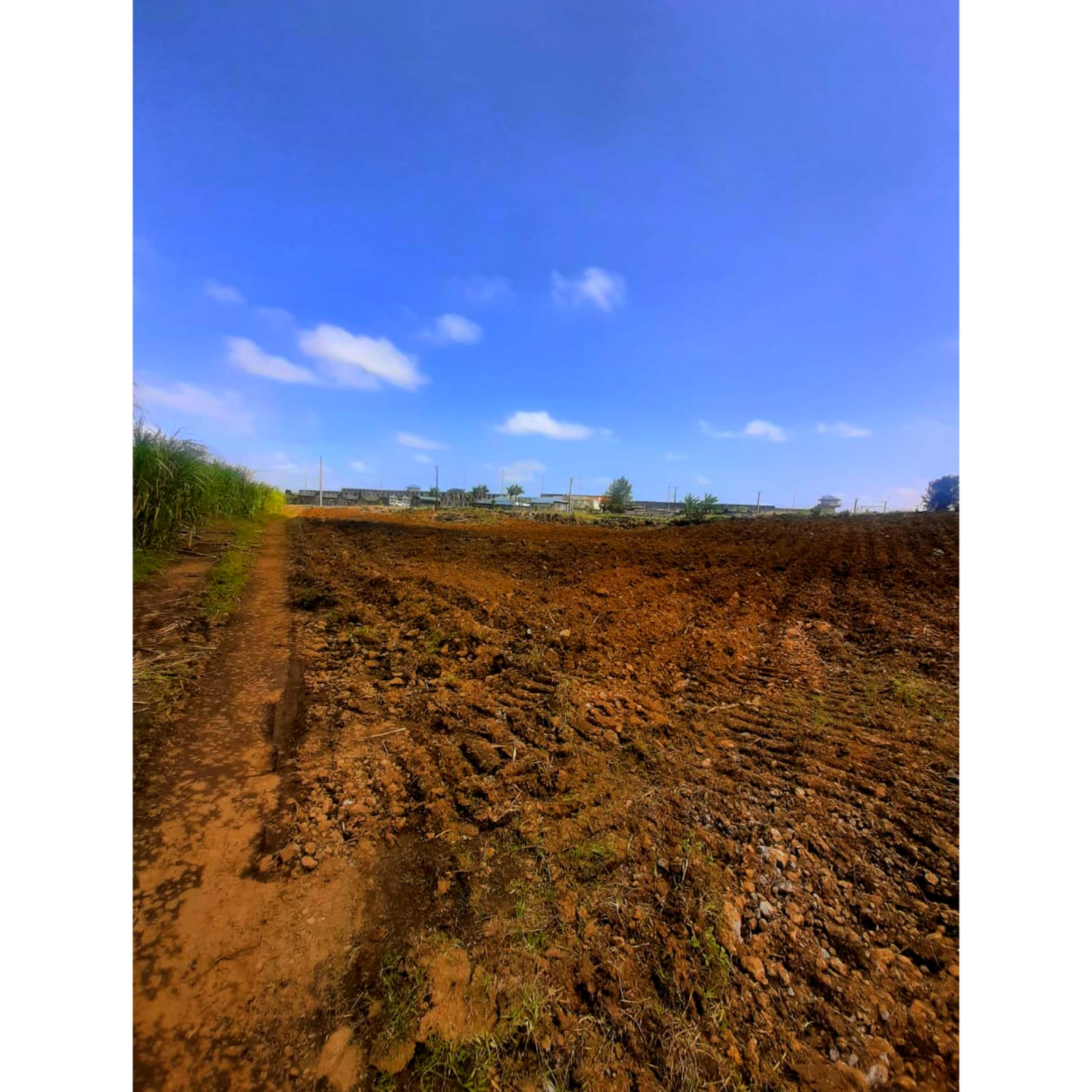Melrose – Agricultural Land – Sale